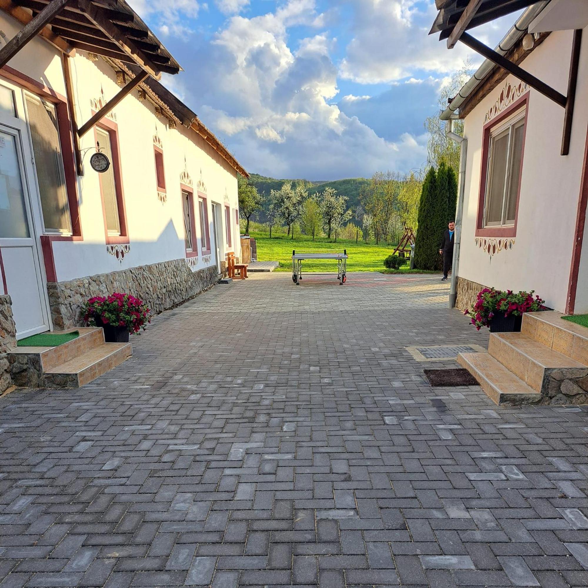 Pensiunea turistica Retreat Belvedere Vadul lui Carol II Exterior foto